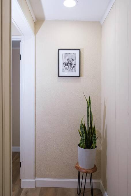 הוילה House Near Tampa Zoo And Busch Gardens, Free High Speed Wifi מראה חיצוני תמונה